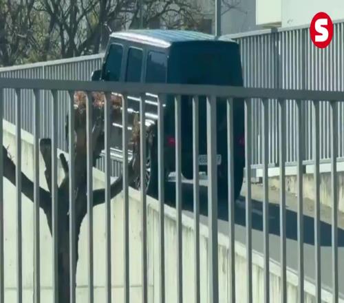 迪亚洛梅开,二度,费助阵,世界杯下注,2026世界杯,赔率分析,下注技巧,赛事预测