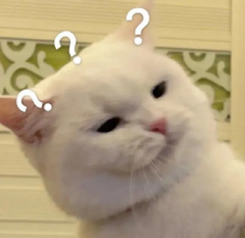 近三连胜萨,拉基利斯主,场挑战巴萨,世界杯下注,2026世界杯,赔率分析,下注技巧,赛事预测