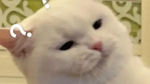 近三连胜萨拉基利斯主场挑战巴萨，专家解析大乐透期号推荐