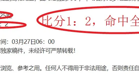 曼晚：纽卡曼联旧怨，B费与乔林顿通道争执